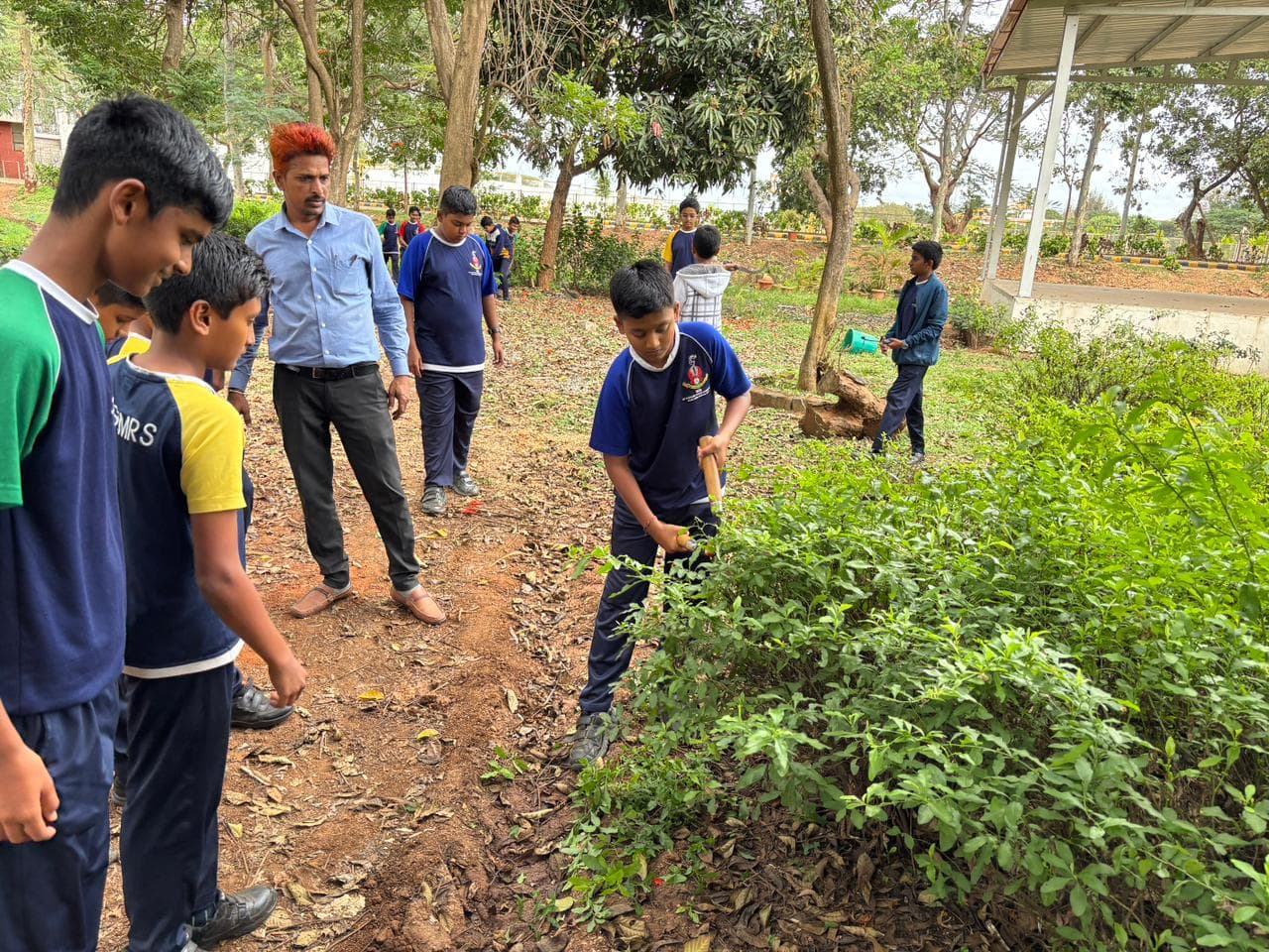 Organic Gardening